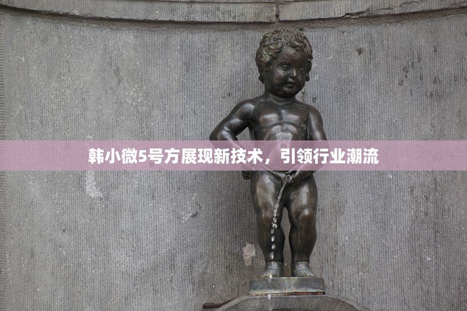 韩小微5号方展现新技术，引领行业潮流