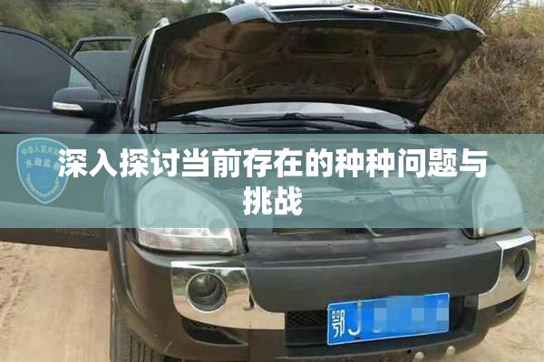 深入探讨当前存在的种种问题与挑战