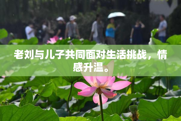 老刘与儿子共同面对生活挑战，情感升温。