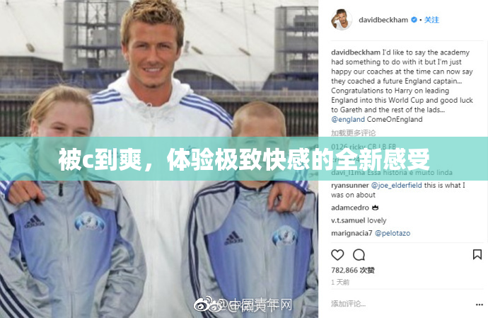 被c到爽，体验极致快感的全新感受