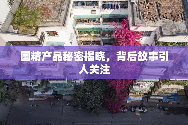 国精产品秘密揭晓，背后故事引人关注
