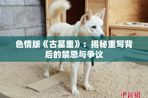 色情版《古墓重》：揭秘重写背后的禁忌与争议