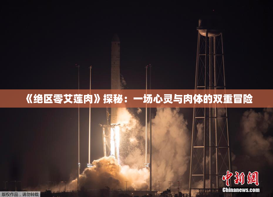 《绝区零艾莲肉》探秘：一场心灵与肉体的双重冒险