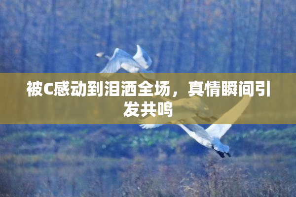 被C感动到泪洒全场，真情瞬间引发共鸣