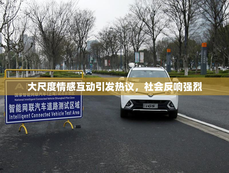 大尺度情感互动引发热议，社会反响强烈