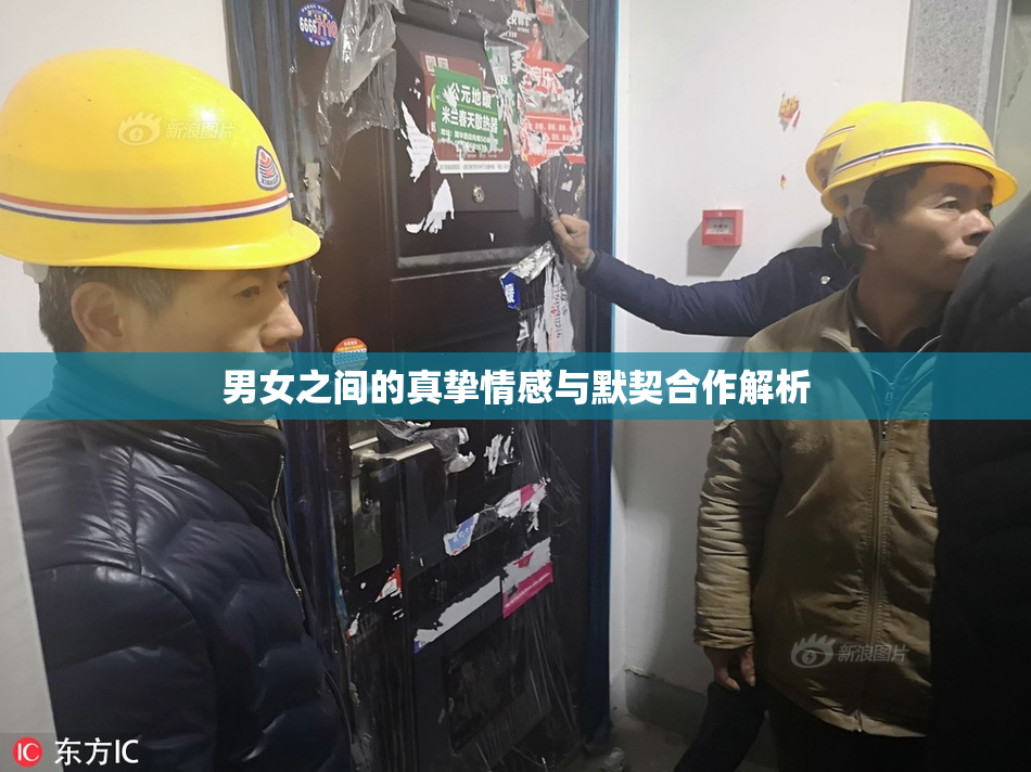 男女之间的真挚情感与默契合作解析