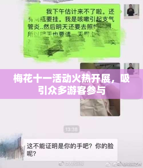 梅花十一活动火热开展，吸引众多游客参与