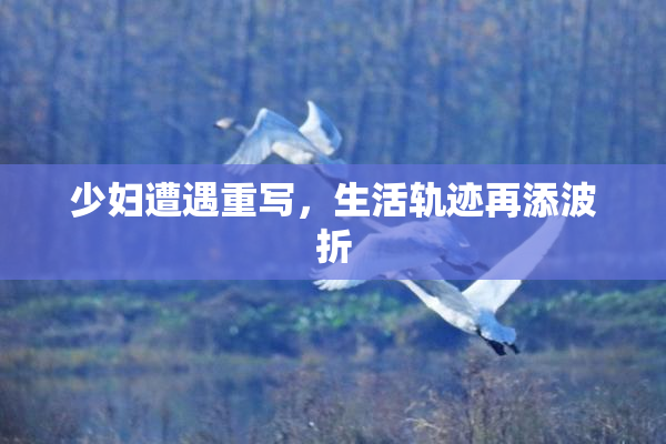 少妇遭遇重写，生活轨迹再添波折