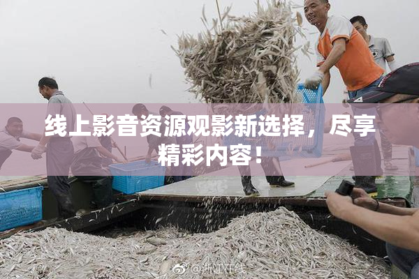 线上影音资源观影新选择，尽享精彩内容！