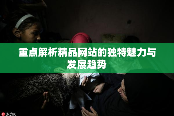 重点解析精品网站的独特魅力与发展趋势