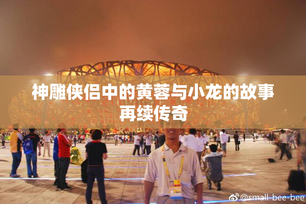 神雕侠侣中的黄蓉与小龙的故事再续传奇