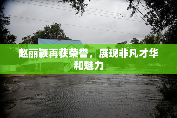 赵丽颖再获荣誉，展现非凡才华和魅力
