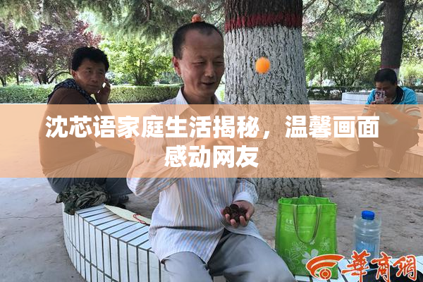 沈芯语家庭生活揭秘，温馨画面感动网友