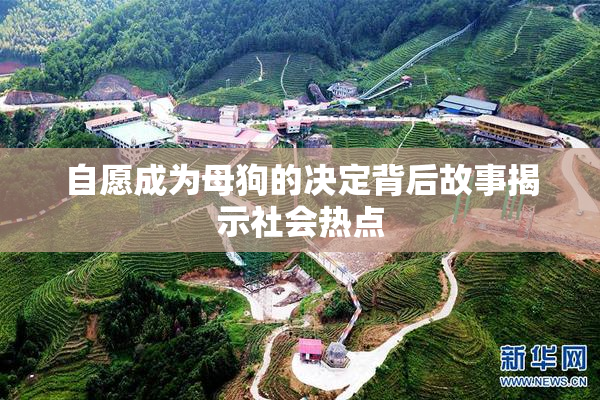 自愿成为母狗的决定背后故事揭示社会热点