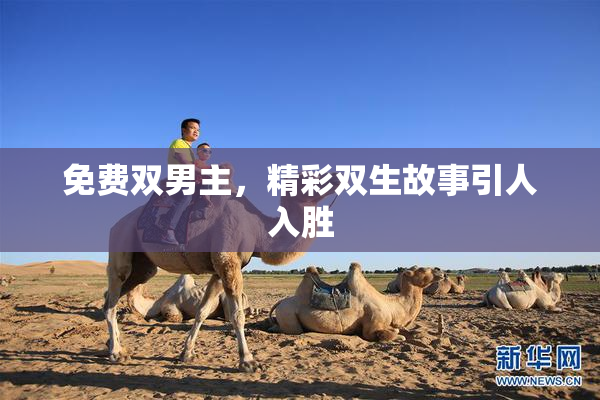 免费双男主，精彩双生故事引人入胜