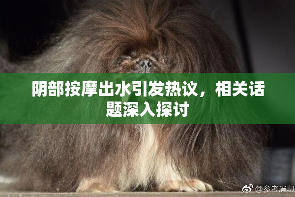 阴部按摩出水引发热议，相关话题深入探讨