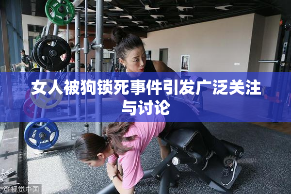 女人被狗锁死事件引发广泛关注与讨论