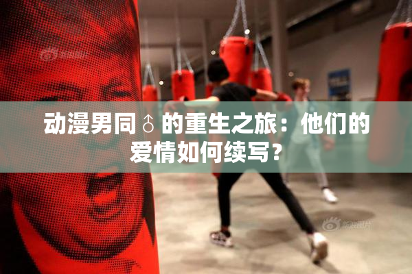 动漫男同♂的重生之旅：他们的爱情如何续写？