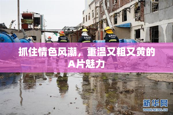 抓住情色风潮，重温又粗又黄的A片魅力