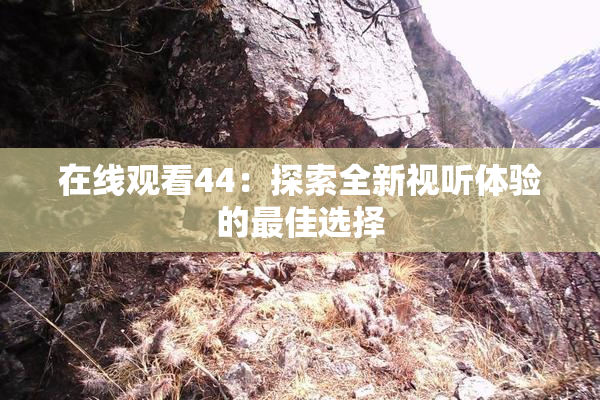 在线观看44：探索全新视听体验的最佳选择