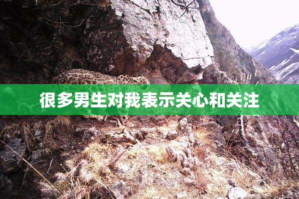 很多男生对我表示关心和关注