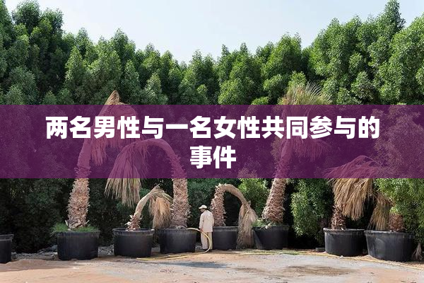 两名男性与一名女性共同参与的事件