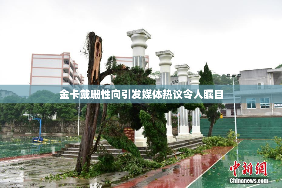 金卡戴珊性向引发媒体热议令人瞩目