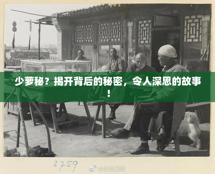 少萝秘？揭开背后的秘密，令人深思的故事！