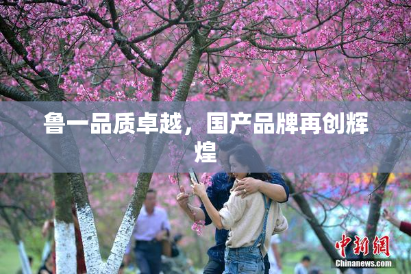 鲁一品质卓越，国产品牌再创辉煌