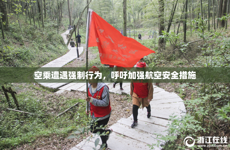 空乘遭遇强制行为，呼吁加强航空安全措施