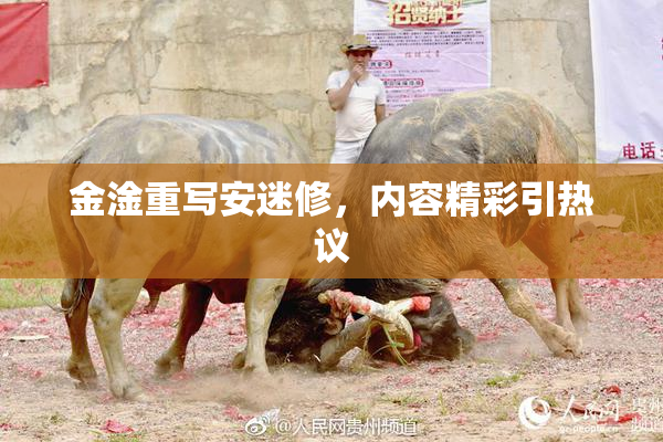 金淦重写安迷修，内容精彩引热议