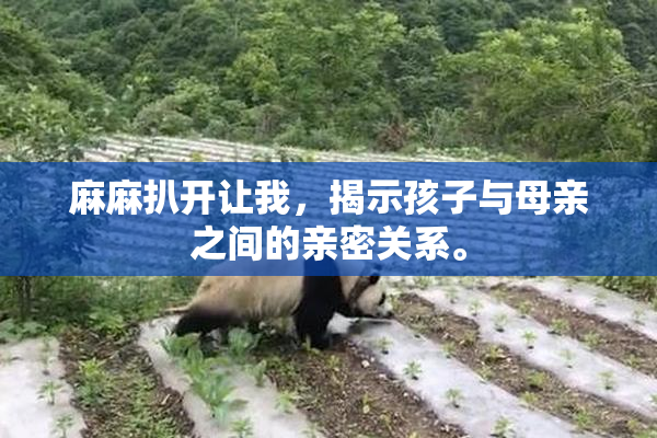 麻麻扒开让我，揭示孩子与母亲之间的亲密关系。