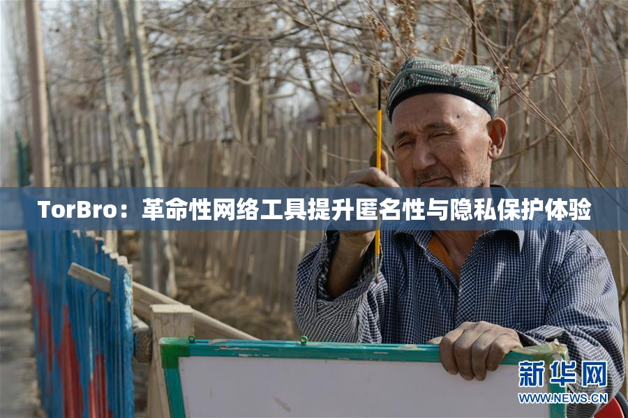 TorBro：革命性网络工具提升匿名性与隐私保护体验