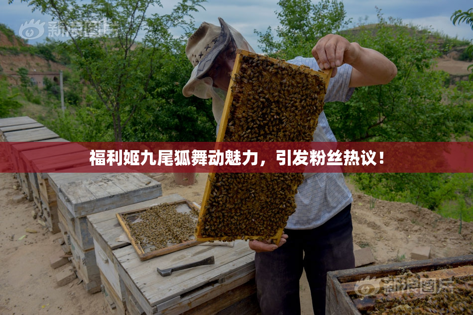 福利姬九尾狐舞动魅力，引发粉丝热议！