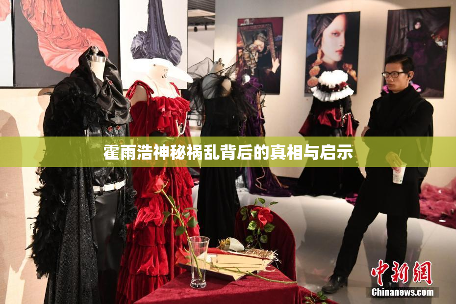 霍雨浩神秘祸乱背后的真相与启示