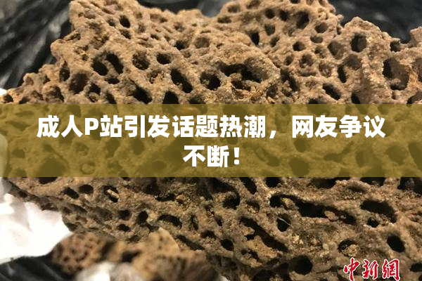 成人P站引发话题热潮，网友争议不断！