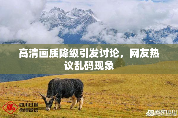 高清画质降级引发讨论，网友热议乱码现象
