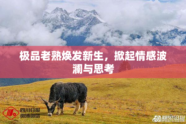 极品老熟焕发新生，掀起情感波澜与思考