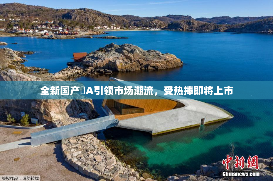 全新国产婬A引领市场潮流，受热捧即将上市