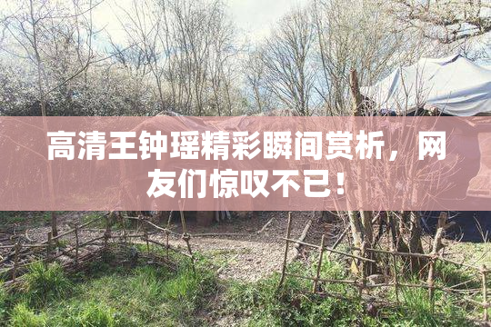 高清王钟瑶精彩瞬间赏析，网友们惊叹不已！