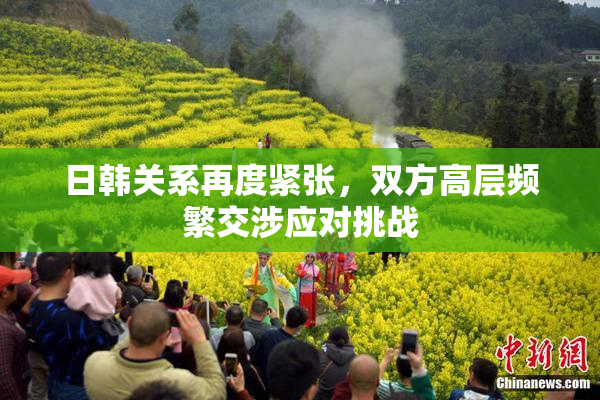 日韩关系再度紧张，双方高层频繁交涉应对挑战