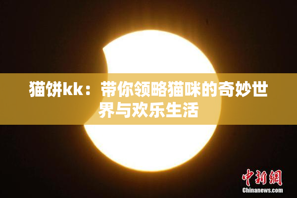 猫饼kk：带你领略猫咪的奇妙世界与欢乐生活