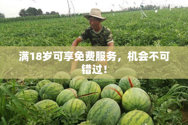 满18岁可享免费服务，机会不可错过！
