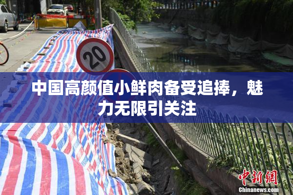 中国高颜值小鲜肉备受追捧，魅力无限引关注