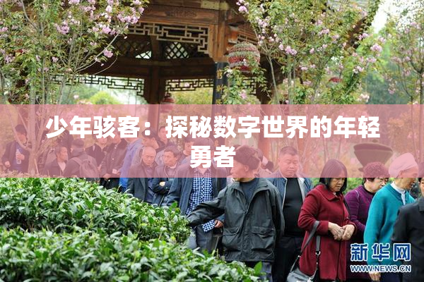 少年骇客：探秘数字世界的年轻勇者