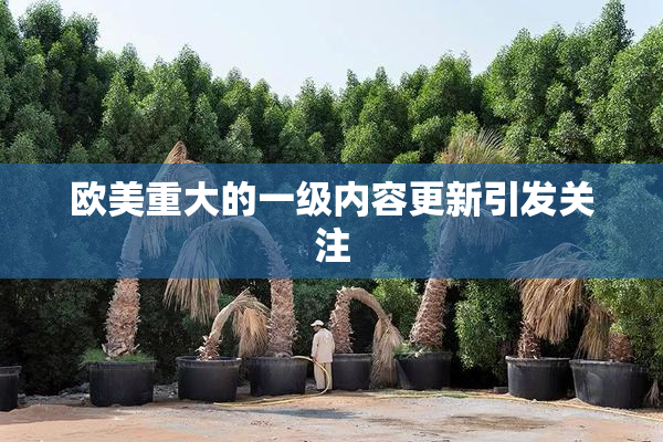 欧美重大的一级内容更新引发关注