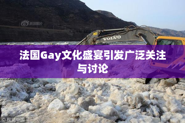 法国Gay文化盛宴引发广泛关注与讨论