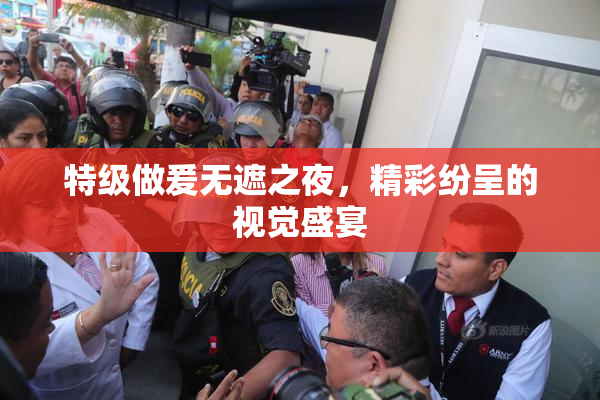特级做爰无遮之夜，精彩纷呈的视觉盛宴