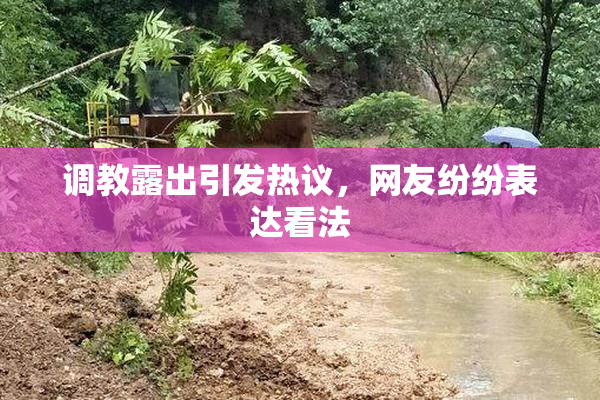 调教露出引发热议，网友纷纷表达看法