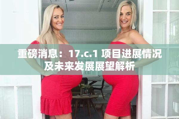 重磅消息：17.c.1 项目进展情况及未来发展展望解析